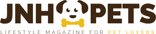askvethub.com